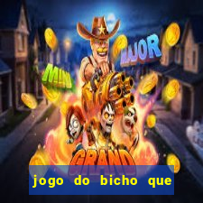 jogo do bicho que paga no pix